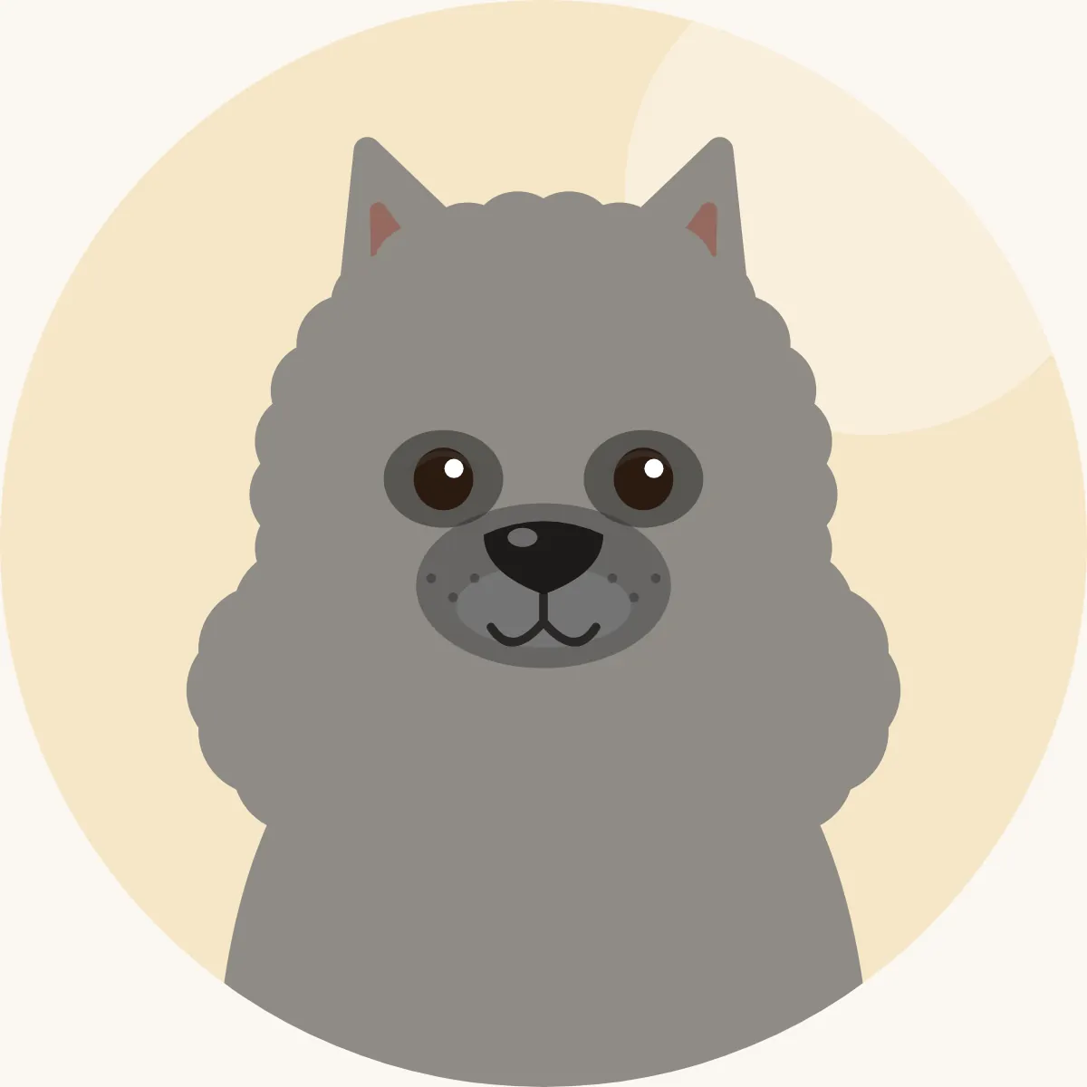 Keeshond – piirroskuva rodun tyypillisestä ulkonäöstä (hopeanharmaa mustin kärjin)