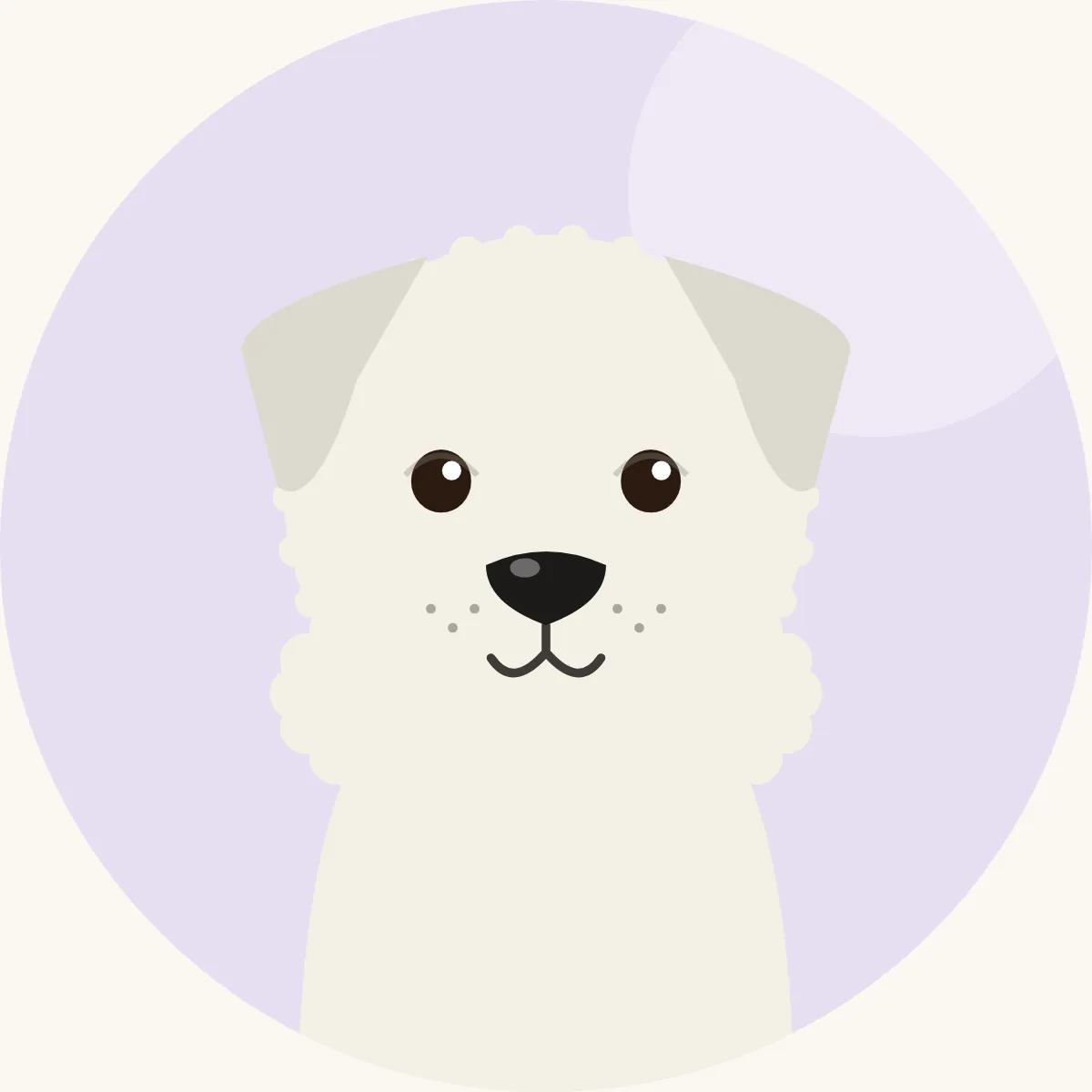Kuvasz – piirroskuva rodun tyypillisestä ulkonäöstä (valkoinen)