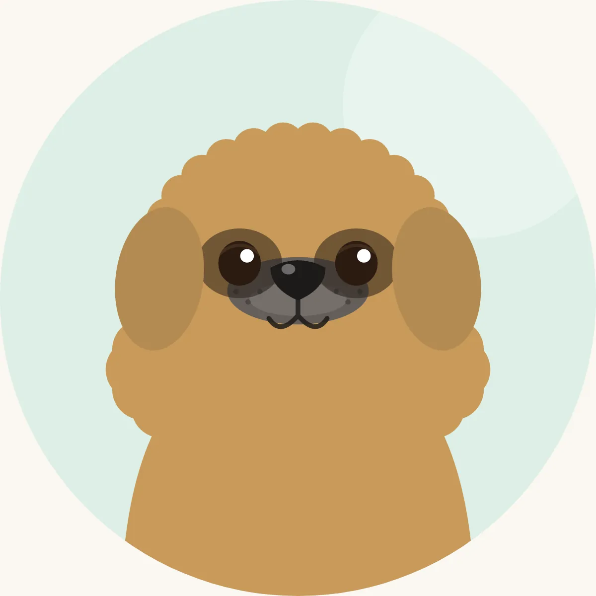 Pekingeesi – piirroskuva rodun tyypillisestä ulkonäöstä (kaikki värit)