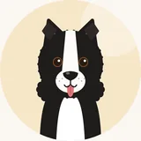 Bordercollie