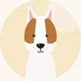 Bullterrieri