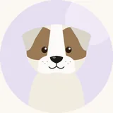 Cão de gado transmontano
