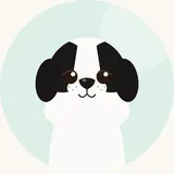 Japanese chin