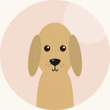 Saluki