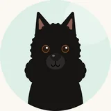 Schipperke