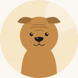 Shar pei
