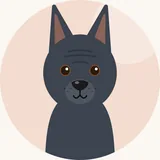Thai ridgeback