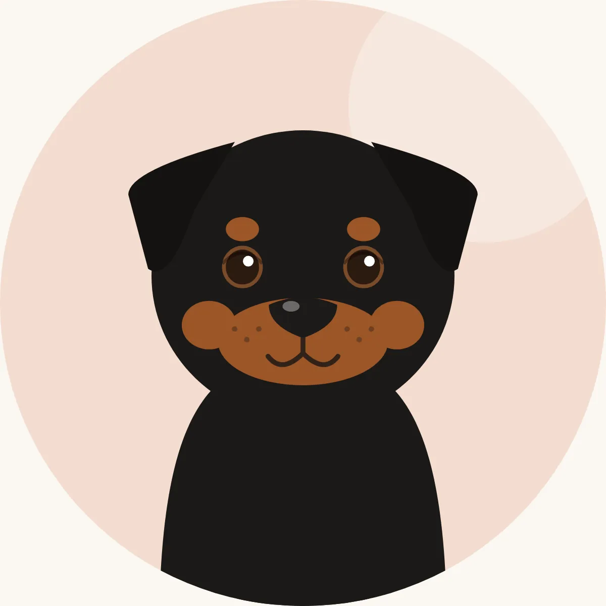 Rottweiler – piirroskuva rodun tyypillisestä ulkonäöstä (musta ruskein merkein)