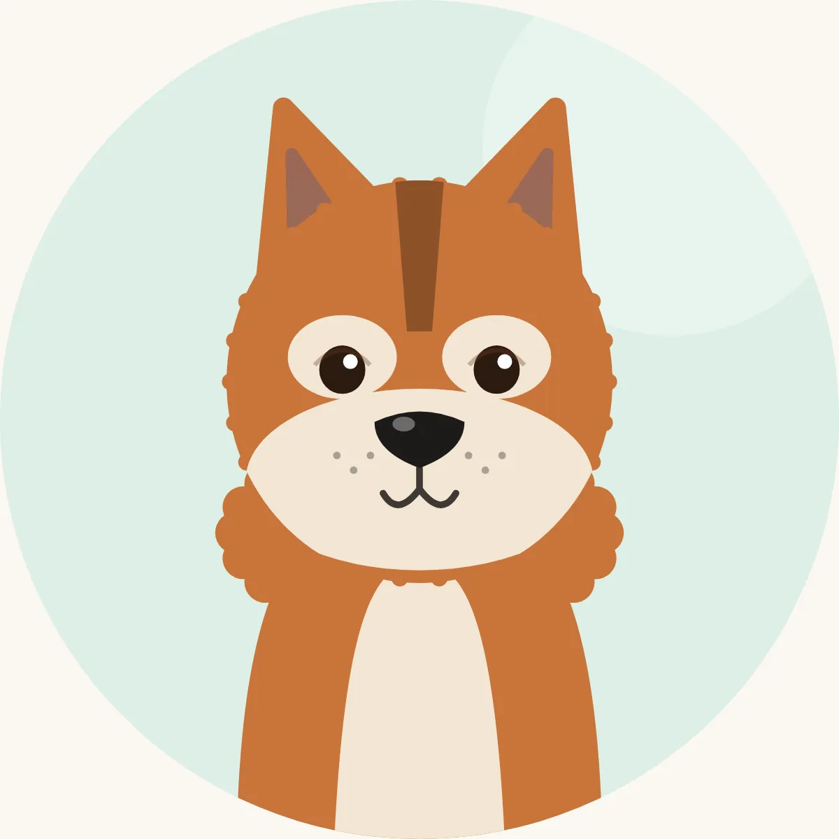 Shiba – piirroskuva rodun tyypillisestä ulkonäöstä (punainen, seesami tai musta-ruskea, vaaleat merkit)
